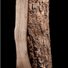 Demi-palette – Bois de chauffage frêne séché au four – 25 cm – 1 m³