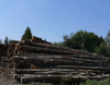 Camion de 25 stères de bois en grume – Hêtre, Chêne, Charme